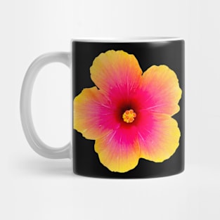 Colorful hibiscus Mug